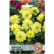 Георгина Карлсон Ело Шейдс 10шт Биотехника