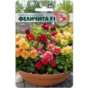 Георгина Феличита 15шт Биотехника