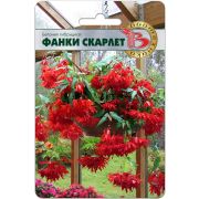 Бегония Фанки Скарлет F1 5шт Биотехника