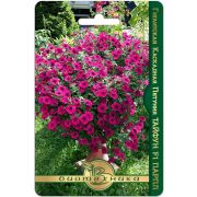 Петуния Тайфун F1 Парпл гигантская каскадная 5шт Биотехника