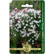 Петуния Тайфун F1 Сильвер гигантская каскадная 5шт Биотехника