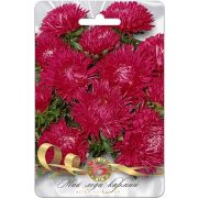 Астра Май Леди Кармин 30шт Биотехника