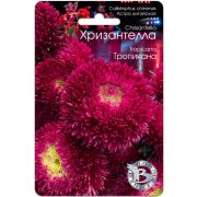 Астра Хризантелла Тропикана 30шт Биотехника