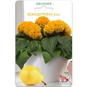 Целозия Концертина Ело горшечная 8шт Биотехника