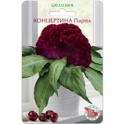 Целозия Концертина Парпл горшечная 8шт Биотехника