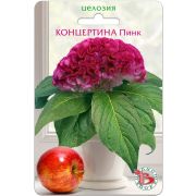 Целозия Концертина Пинк горшечная 8шт Биотехника