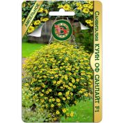 Санвиталия Куин оф Санлайт F1 10шт Биотехника