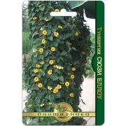 Тунбергия Сюзи Еллоу 6шт Биотехника