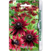 Рудбекия Черри Бренди 20шт Биотехника