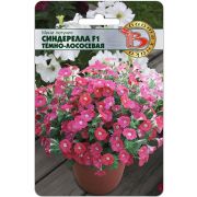 Петуния Синдерелла Тёмно-лососевая