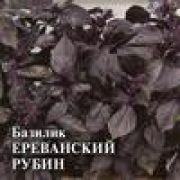 Базилик Ереванский рубин 10г Гавриш